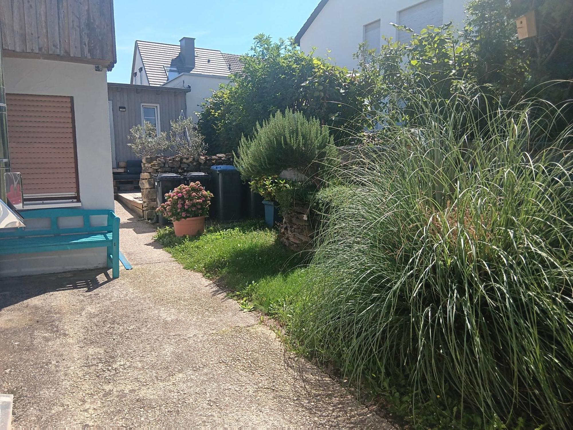 Ferienwohnung Mattheiser Weiher Tréveris Exterior foto